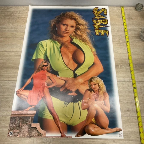 ORIG. 1998 SABLE WWE / WWF WRESTLER POSTER / 22 X 34" P11 Cover