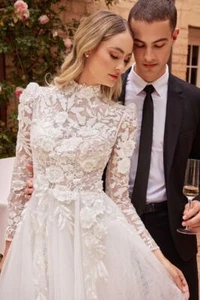 LONG SLEEVE LACE WEDDING BALL GOWN CDCDS433W - Picture 1 of 6