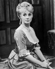 Shirley Jones Studio Photo Framing Print 8 x 10 Reproduction
