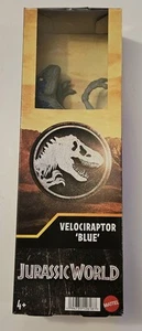 Jurassic World Velociraptor Actionfigur "blau" von Mattel 2023 NEU - Bild 1 von 5