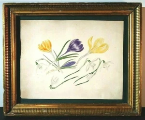 ANTIQUE BOTANICALS LOT of 3 HAND COLORED? ORIGINAL LITHOGRAPHS GOLD FRAMED - Picture 1 of 8