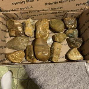 2.2 Pounds Of Louisiana/ Ms. Chert sweet pattern polished Lapidary Cajun Shine - Picture 1 of 3