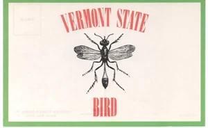 Mosquito New Hampshire's State Bird~1984~Vintage Postcard Unposted - Picture 1 of 1