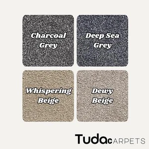 Serenity 17.5mm Deep Saxony Pile Carpet with Action Back, 19.5mm Total Height - Picture 1 of 5