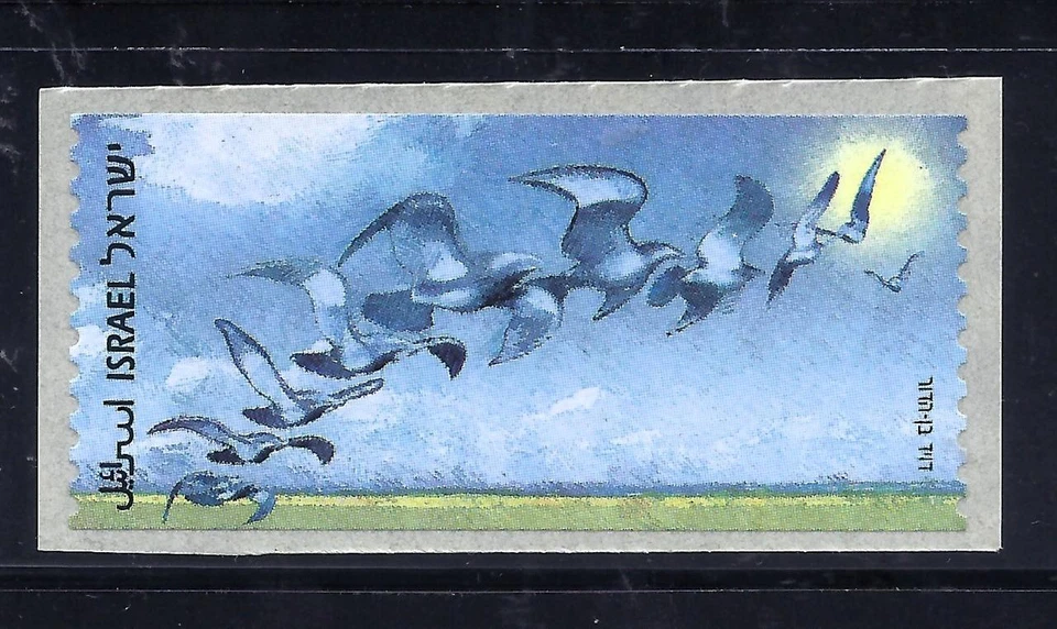 SELLOS DE ISRAEL 2009 ERROR BLANCO LANDING BIRDS ETIQUETA CAJERO AUTOMÁTICO MÁQUINA EXPENDEDORA MNH Foto 1 de 1