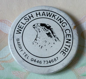 Vintage Welsh Hawking Centre Hawk Metal Button Pin Badge 38 mm - Picture 1 of 2