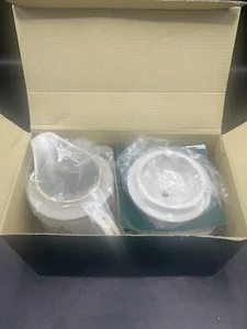 QUEENSBERRY ROYAL GALLERY CHINA NIB SUGAR & CREAMER SET - Picture 1 of 3