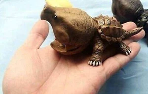 Statuina modellino tartaruga tartaruga a scatto in resina 12 cm colore A - Foto 1 di 2