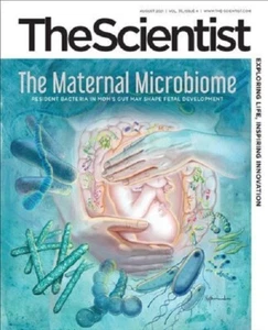 THE SCIENTIST MAGAZINE, AUGUST 2021, THE MATERNAL MICROBIOME, NEW - Picture 1 of 1