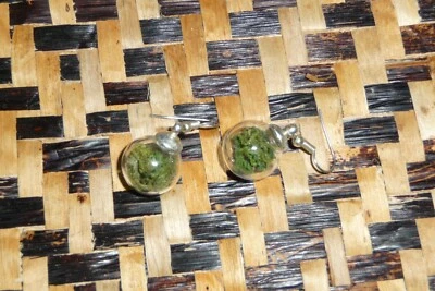 Ohrringe Mooskugel - Bild 1 von 2