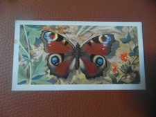 Great Britain Brooke Bond original 1963 tea card "British Butterflies",  No.23. 