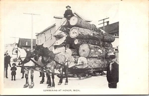 Cartolina Honor Michigan Lumbering - Foto 1 di 2