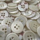 Last Lot 152 Ivory Trocas Shell  Button w/Rim & Red Speck Back 18mm 11/16" 4hole