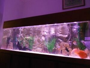 HUGE ACRYLIC AQUARIUM WITH STAND CUPBOARD COMPLETE READY FOR FISH 6 HALF FOOT