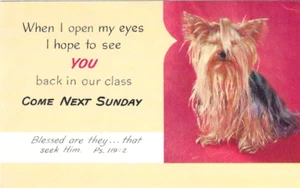 Vintage Dogs Puppies Chrome Postcard When Open Eyes Sunday Bible Verse Psalm - Picture 1 of 2