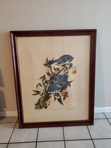Vintage Audubon Blue Jay Plate 102 handcolored Lithograph Print 1950 Centennial - Bild 1 von 12