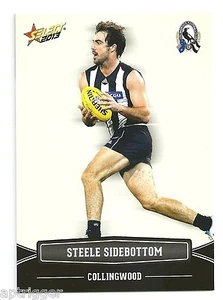 2013 Champions (50) Steele SIDEBOTTOM Collingwood - Picture 1 of 1