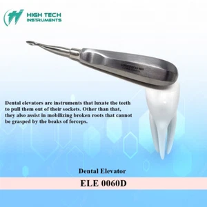 Surgical Dental Elevator Bernard Spade ELE 0060D Root Extraction Teeth Luxating - Picture 1 of 4