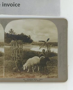 Javanese Kids Java Universal Stereoview - Bild 1 von 2