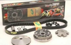 9928210 VARIATORE TOP TPR Yamaha Majesty 250 - Imagen 1 de 5