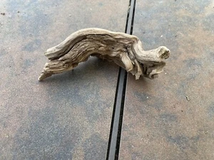 Natural Driftwood for Plants Terrarium Taxidermy Art Projects - Picture 1 of 5