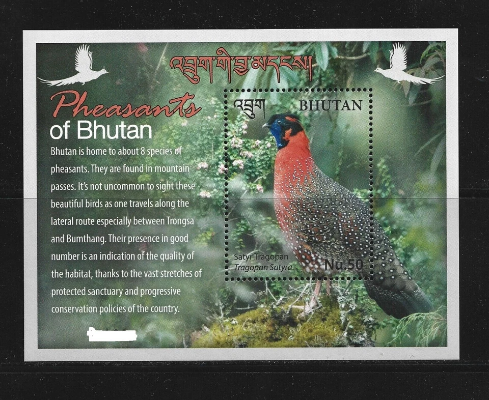 Folha miniatura de pássaros faisões Butão 2017, sem marca de charneira - Imagem 1 de 2