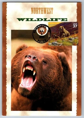 #3802e Arctic Tundra Grizzly Bear FDC Maxi Card - Image 1 of 2