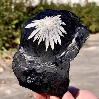 350G Natural chrysanthemum stone quartz carving aura healing gift - Image 1 of 4