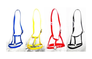 Biothane Horse Driving Under Halter Red Black Blue Yellow Full Cob & Pony Sizes - Picture 1 of 5