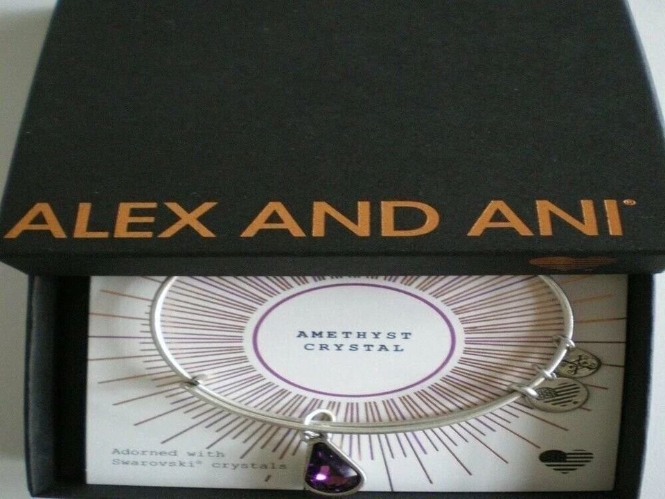 Alex and Ani February Birth Month Charm Bangle Rafaelian Silver Finish A17EB41RS