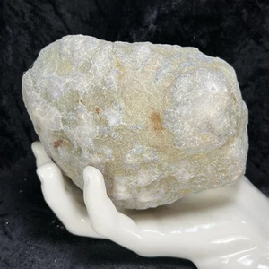 Geoda sin abrir 5" sonajero fósil cuarzo cristal grande sin cortar rompe el tuyo propio 2 lb - Imagen 1 de 7