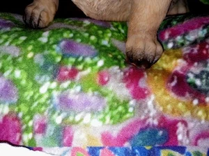 Tree Themed Single Bed Sherpa Fleece Blanket. 127 Cms X 152.4 Cms. - Picture 1 of 13