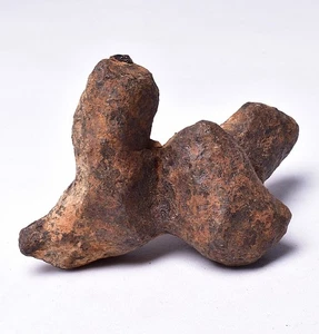 MUNDRABILLA IRON METEORITE, AUSTRALIA MT97 - Bild 1 von 13