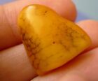 e20 Honey Yellow Natural Baltic Amber cabochon gem bead Charm Pendant 2g 10 Cts