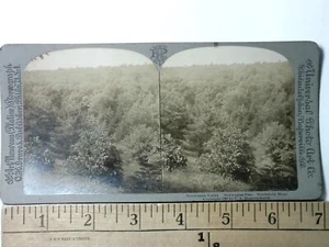 Northfield Minnesota The Norwegian Valley Stereoview antico c1907 Y18715 - Foto 1 di 2