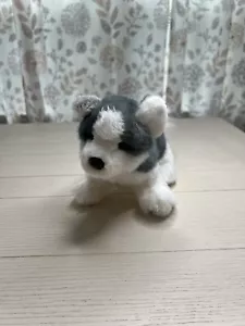 "Douglas Cuddle Toy Huskie Cachorro Peluche Suave Perro Gris y Blanco 10""" - Imagen 1 de 5