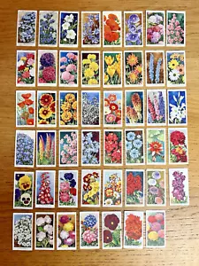 Wills Cigarette Cards Garden Flowers Loose Cards x 47 - Picture 1 of 19
