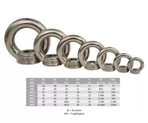 Ringmutter DIN582 Edelstahl M6 M8 M10 M12 M16 M20 M24 gegossen A2 Mutter Ring - Bild 1 von 3