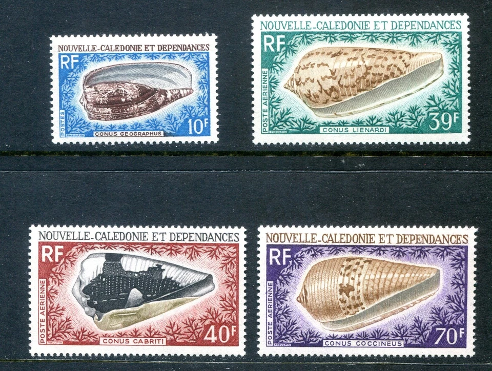 Z_32 1970 Nueva Caledonia conchas VIDA MARINA MNH pagos y envíos combinados Foto 1 de 1