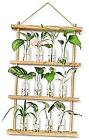  Plant Propagation Stations Wall Hanging Plant Terrarium with Wooden Stand, 