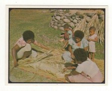 Sanitarium New Zealand Cereal Card. Fiji, Mat making