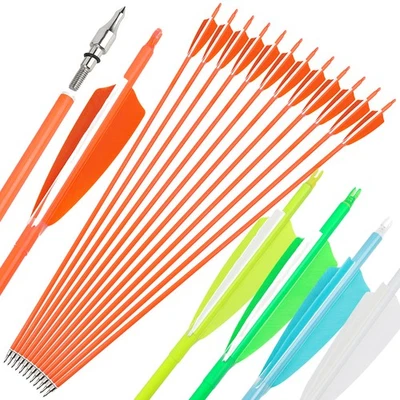 Archery Carbon Arrows 30" SP500 600 Feathers Recurve Compound Bow Hunting Target - Image 1 of 4