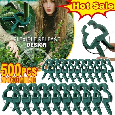 CLIPS GRANDES PARA PLANTAS Y JARDÍN Soporte Tomate Vegetal Enrejado Corbatas Foto 1 de 4