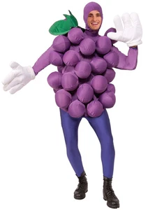 Adults Purple Grape Costume - Picture 1 of 2