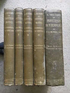 F O Morris, British Moths 4 Vols 1896 & British Butterflies 1 Vol 1895, Nimmo - Picture 1 of 12