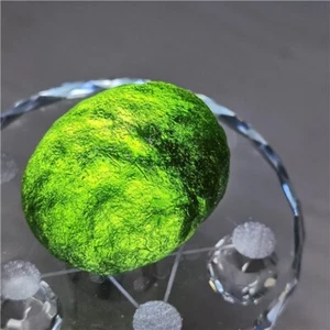 61g Russia Desert Glass Meteorite Tektite impact specimen - 1Pc L722 - Picture 1 of 11