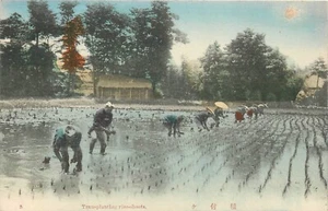 Postal C-1910 Japón mano coloreada ocupación agrícola 24-6673 - Imagen 1 de 2