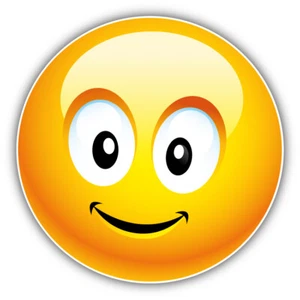 Smile Fun Car Bumper Sticker Decal "SIZES" - Picture 1 of 1