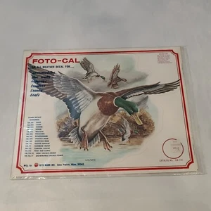 Vintage 1970 FOTO-CAL FM-101 Vinyl Camper Sticker Decal Mallard Duck Foto Mark - Bild 1 von 5