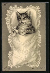 Rare Antique Early 1902s Vintage Litho. French Postcard Sweet Kitty Cat - Picture 1 of 2